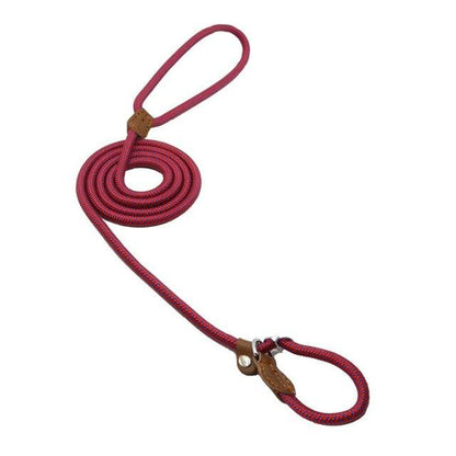 Nylon Pup Set - GHAVASTORE