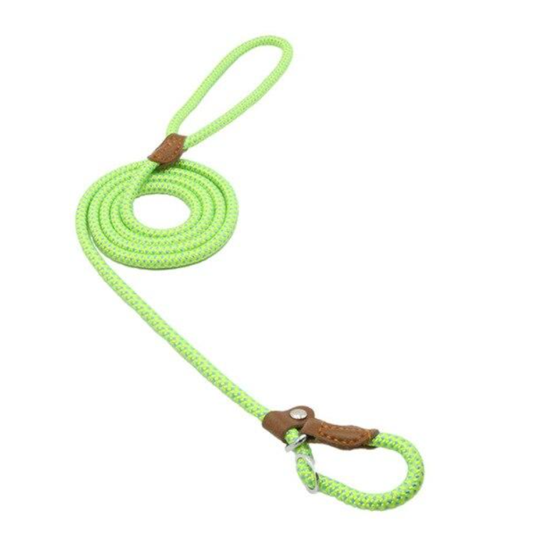 Nylon Pup Set - GHAVASTORE