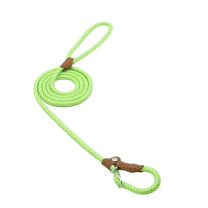 Nylon Pup Set - GHAVASTORE