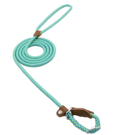 Nylon Pup Set - GHAVASTORE
