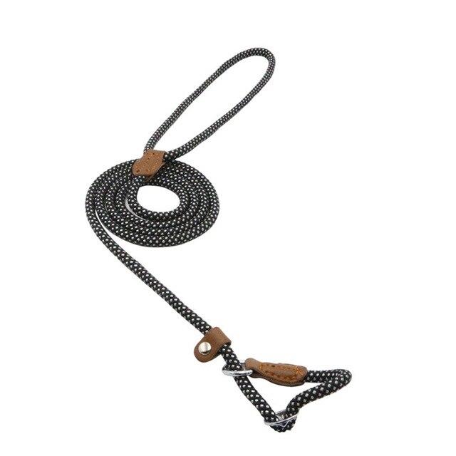 Nylon Pup Set - GHAVASTORE