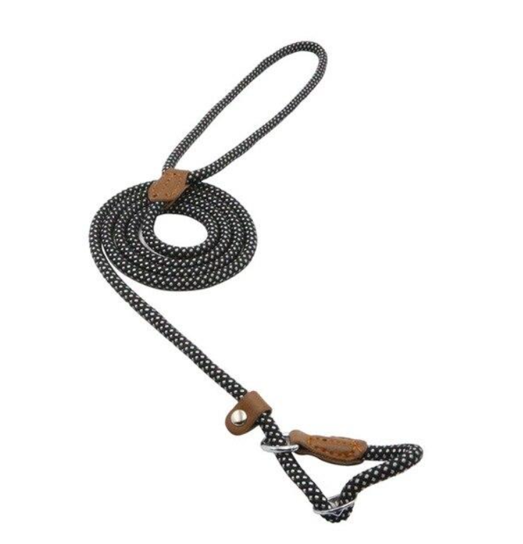 Nylon Pup Set - GHAVASTORE