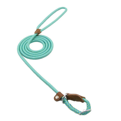 Nylon Pup Set - GHAVASTORE