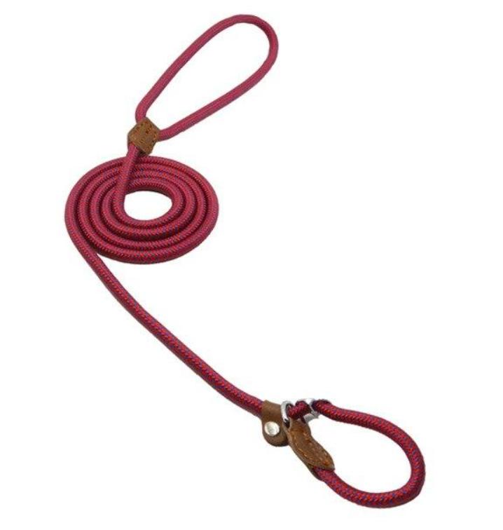 Nylon Pup Set - GHAVASTORE