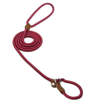 Nylon Pup Set - GHAVASTORE