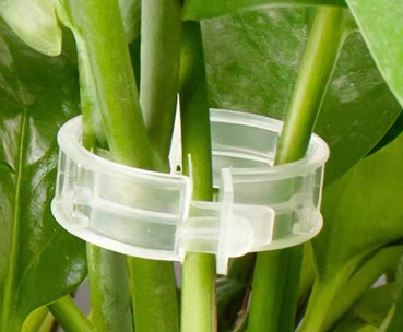 Plastic Plant Support Clips For Vines (One Set) - GHAVASTORE