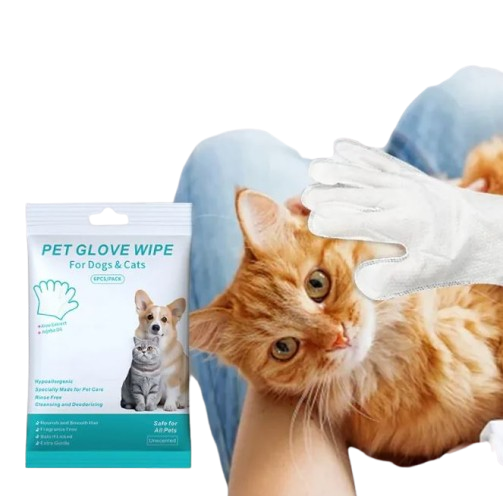 Pet Cleaning Gloves & Wipes - GHAVASTORE