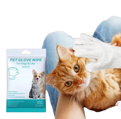 Pet Cleaning Gloves & Wipes - GHAVASTORE