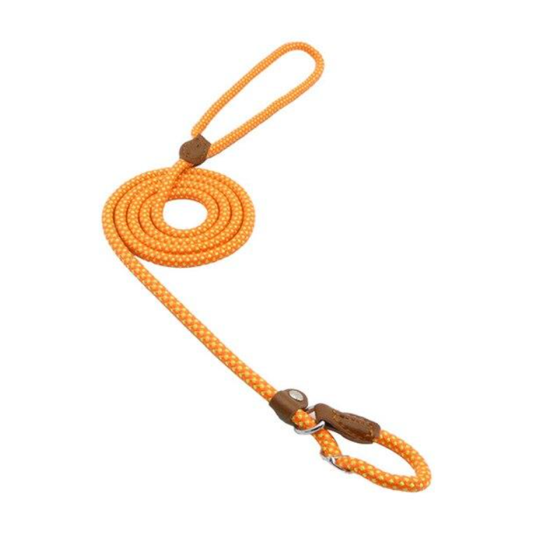 Nylon Pup Set - GHAVASTORE