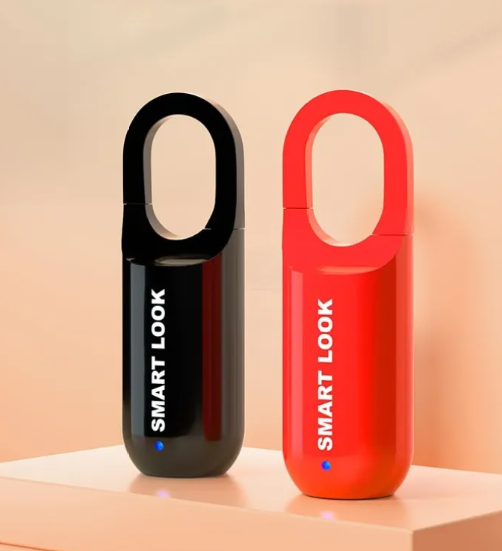 Smart Fingerprint Lock, - GHAVASTORE