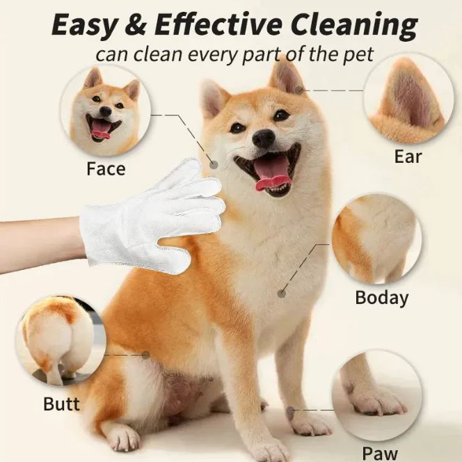 Pet Cleaning Gloves & Wipes - GHAVASTORE