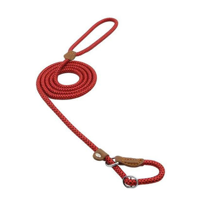 Nylon Pup Set - GHAVASTORE