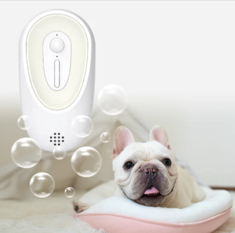 Pet Odor Eliminator for Litter Boxes - GHAVASTORE